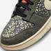 NIKE Dunk Low Rainbow Trout